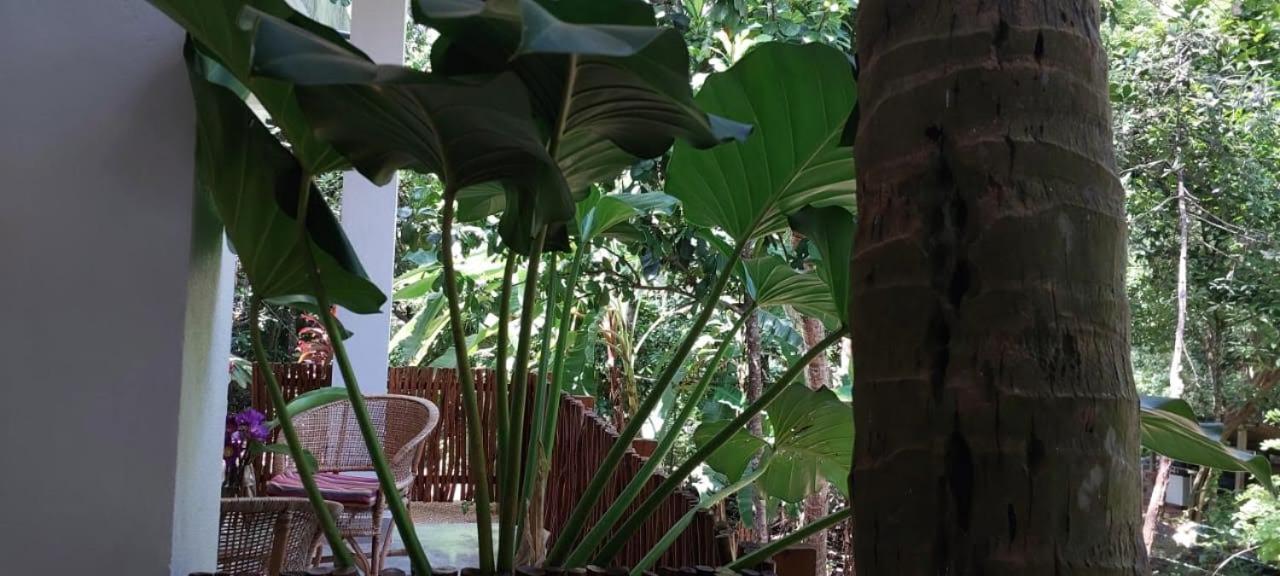 Jj Junglejoy Villa Unawatuna Buitenkant foto